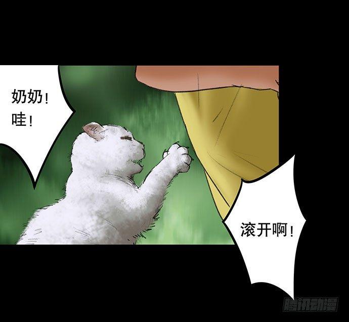 猫-240