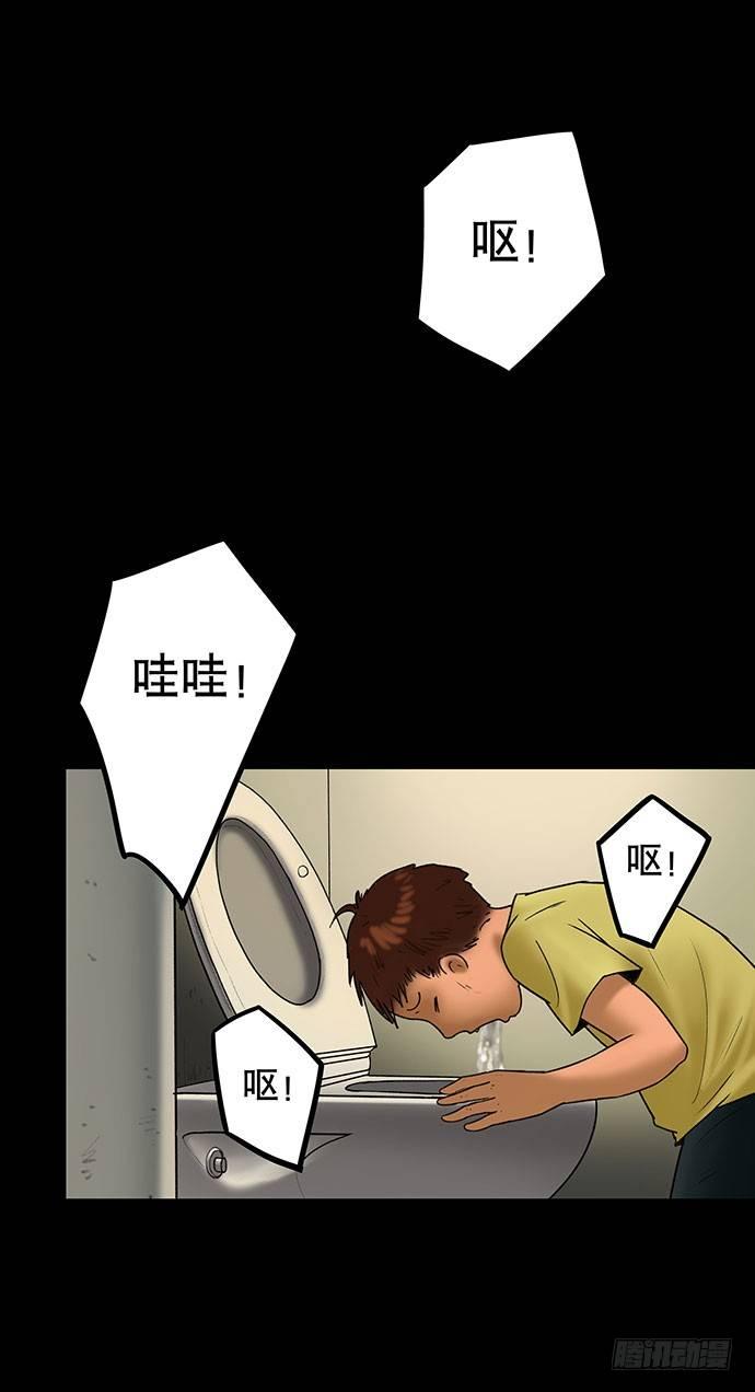 猫-526