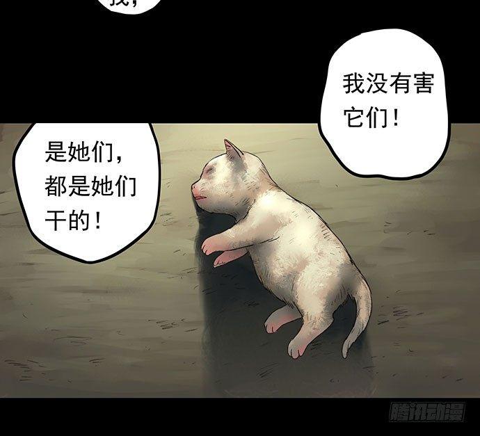 猫-158
