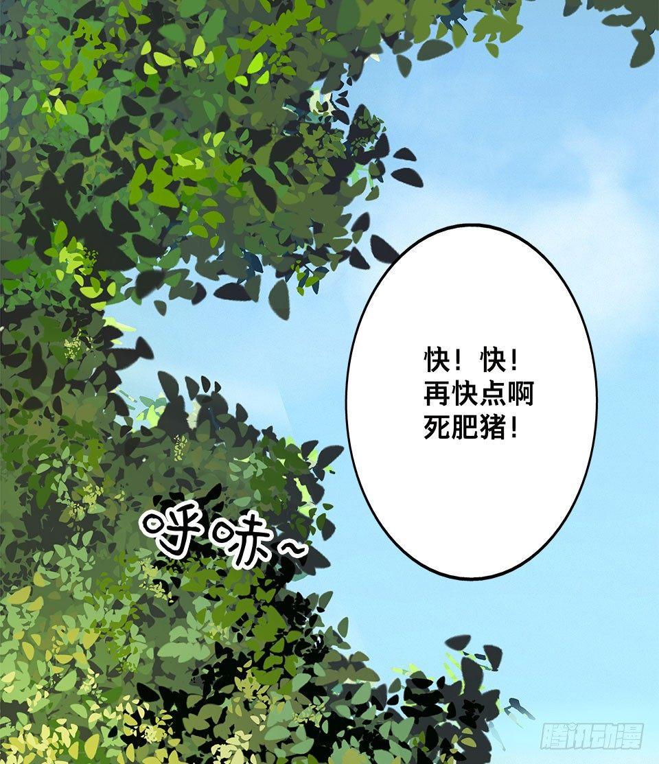 龟-上9