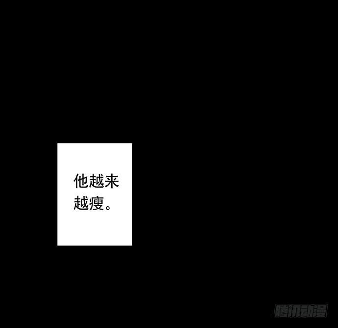 猫-541