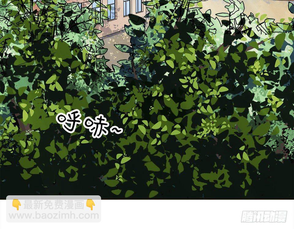 龟-上11
