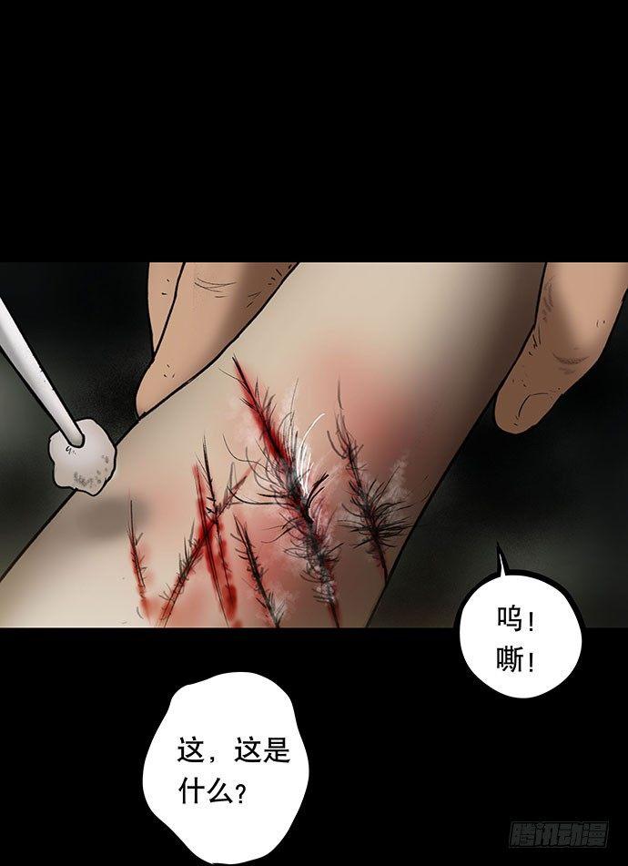 猫-566