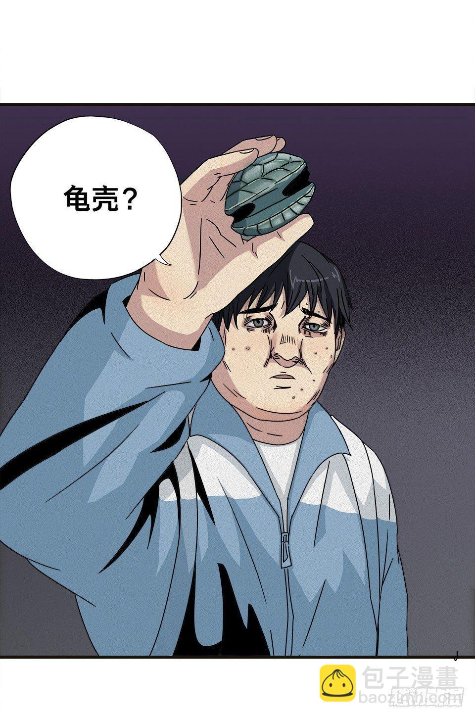 龟-上86