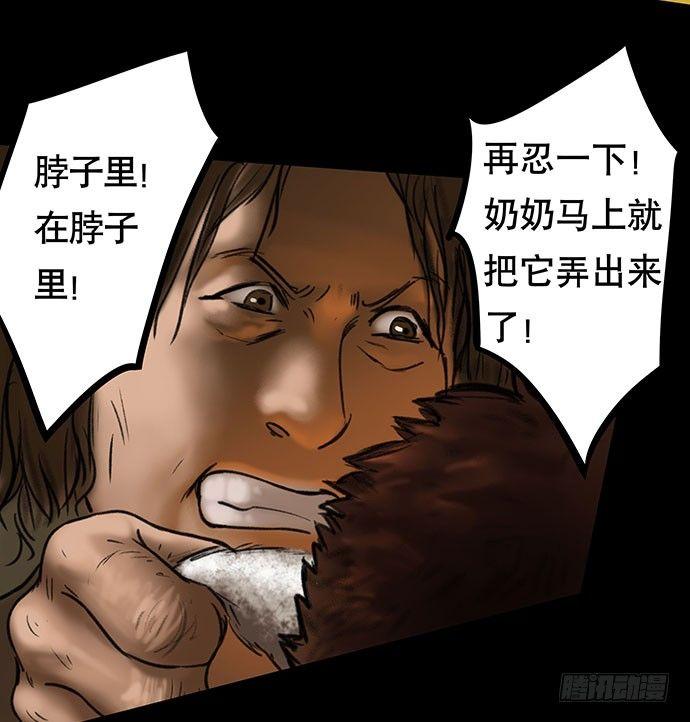 猫-58