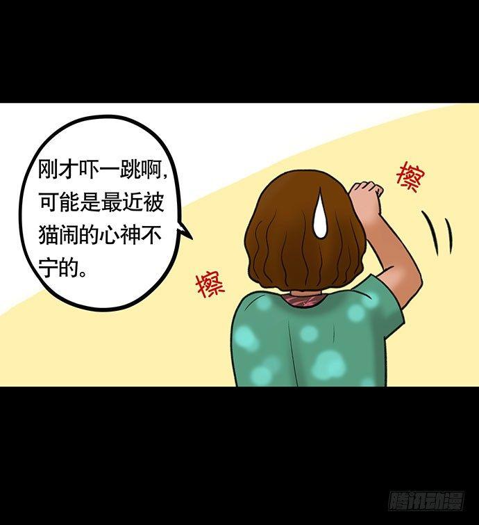 猫-436