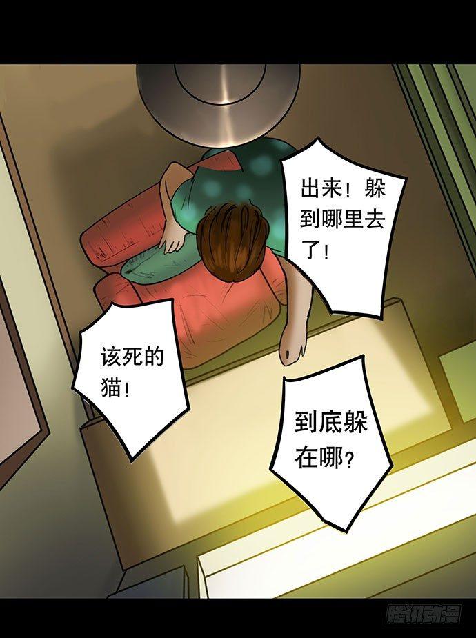 猫-336