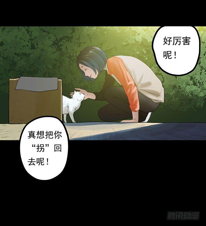 猫-118