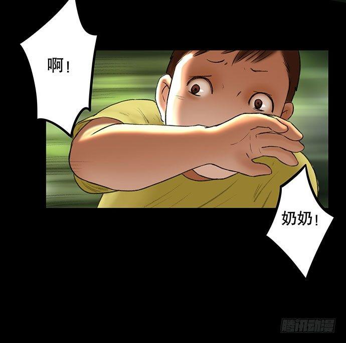 猫-239