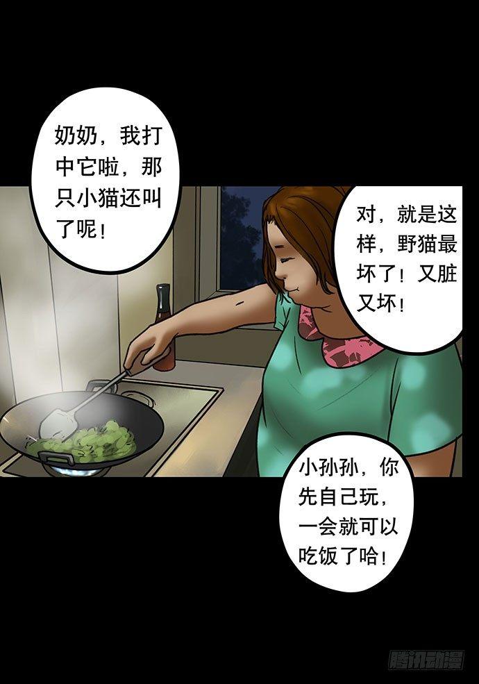 猫-458