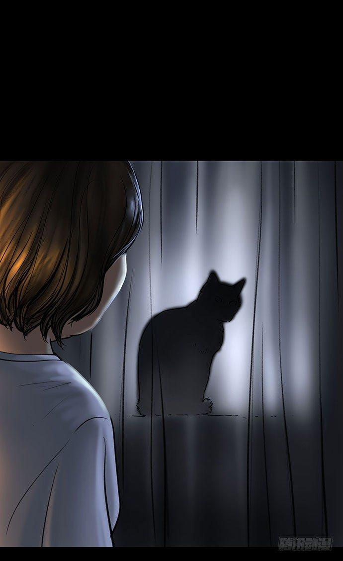猫-48