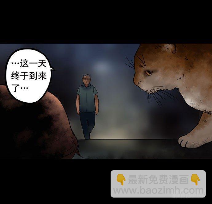 猫-584
