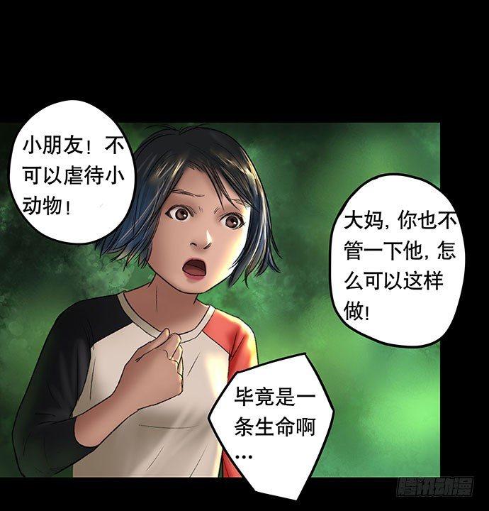 猫-227