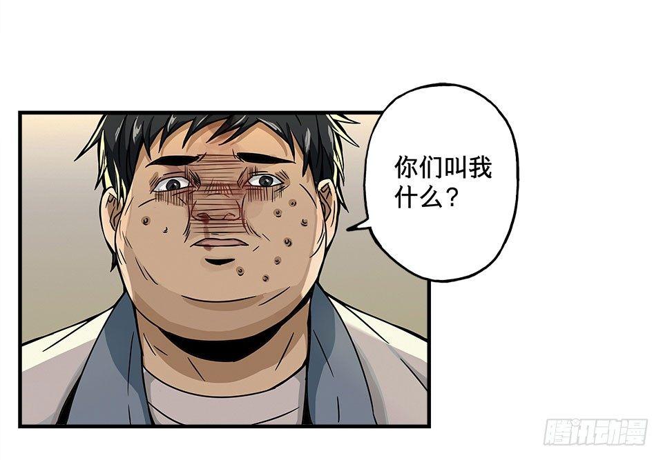 龟-中77