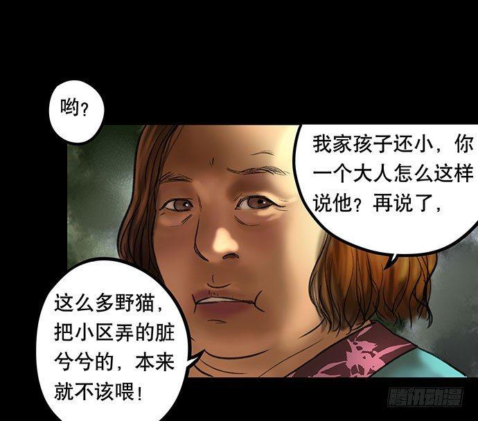 猫-228