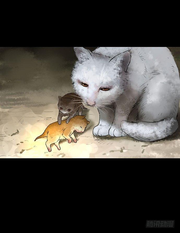 猫-231