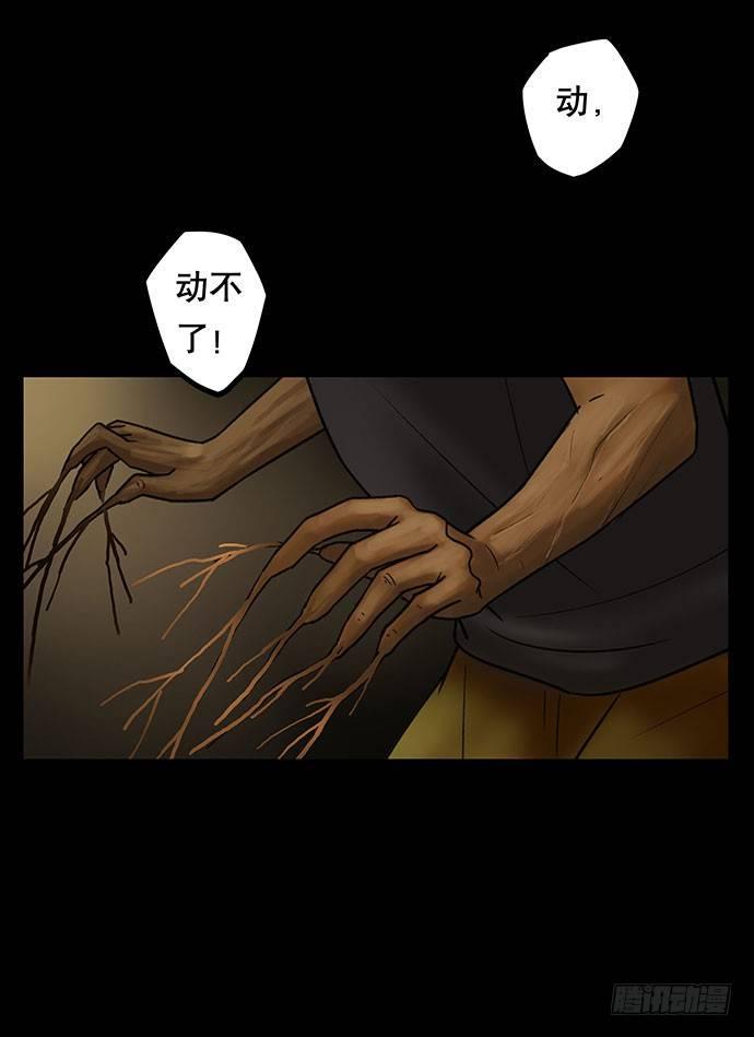 花-360
