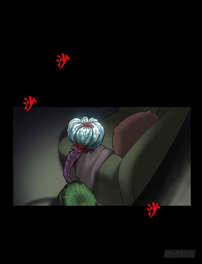 花-251