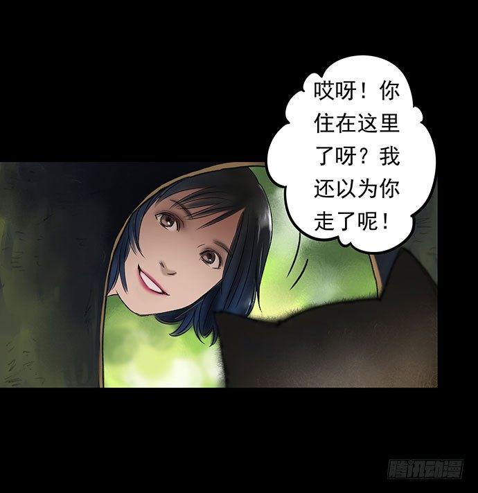 猫-113