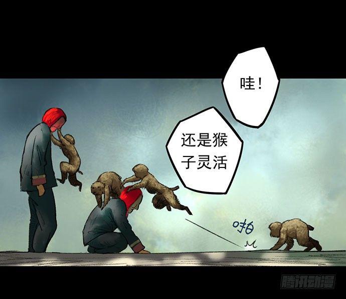 猴戏-116