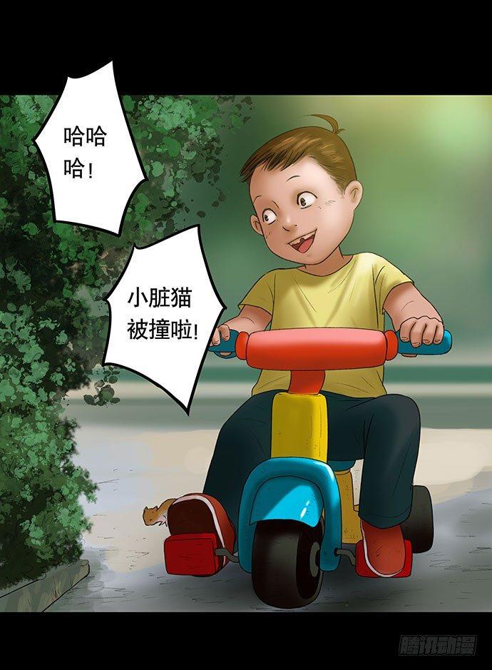 猫-215