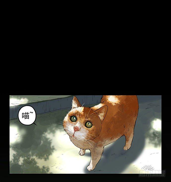 猫-10