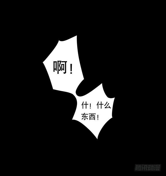 猫-448