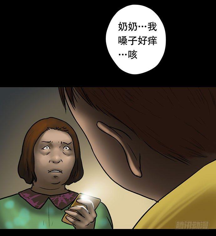 猫-464