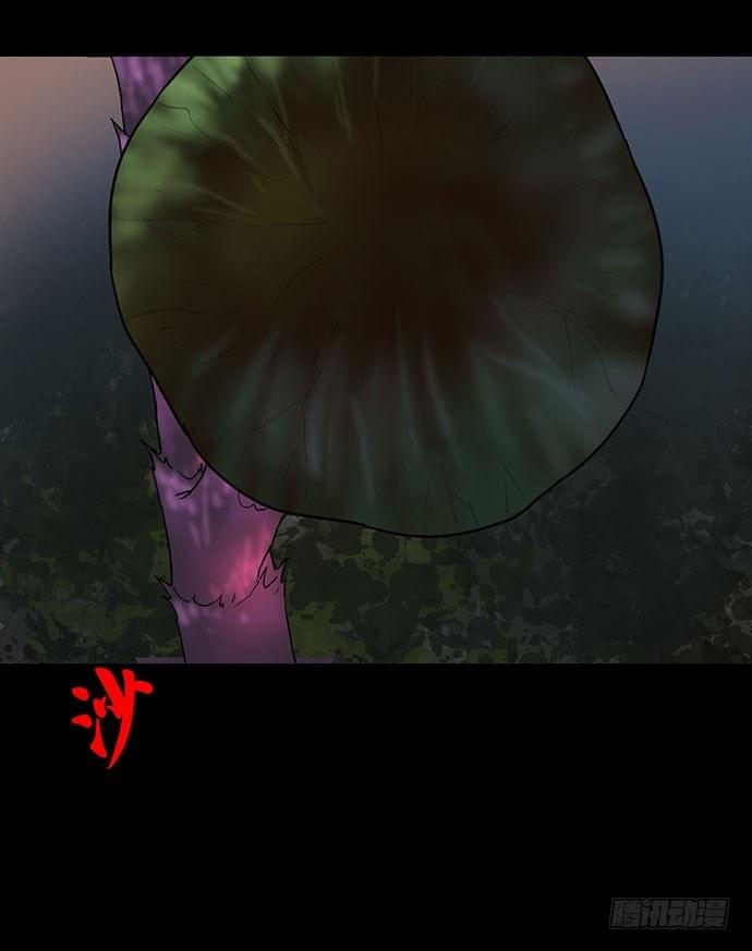 花-213