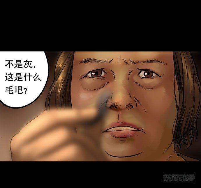 猫-328