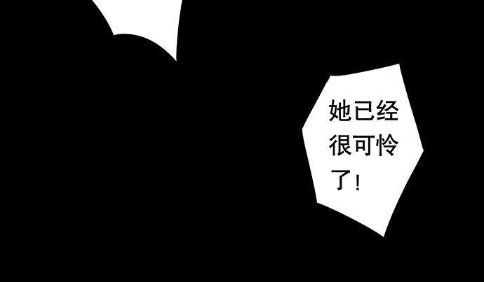 猫-247