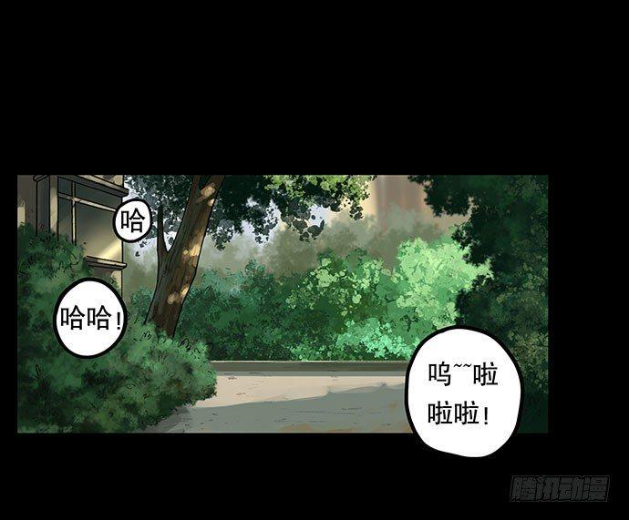 猫-212
