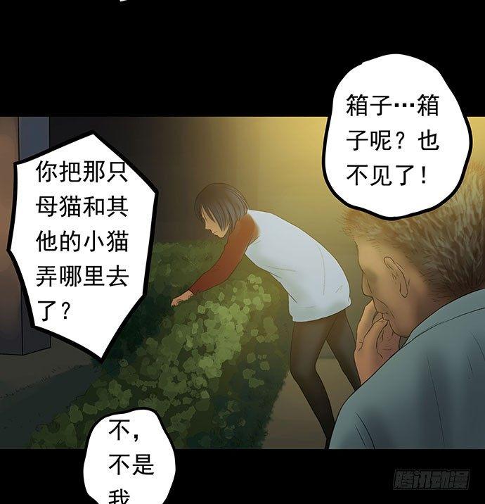 猫-157