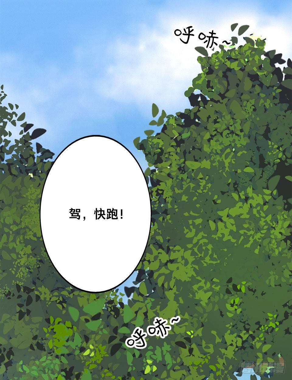 龟-上8