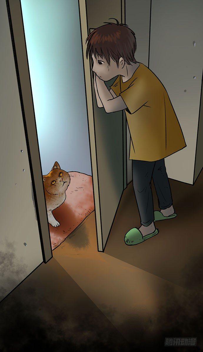 猫-546