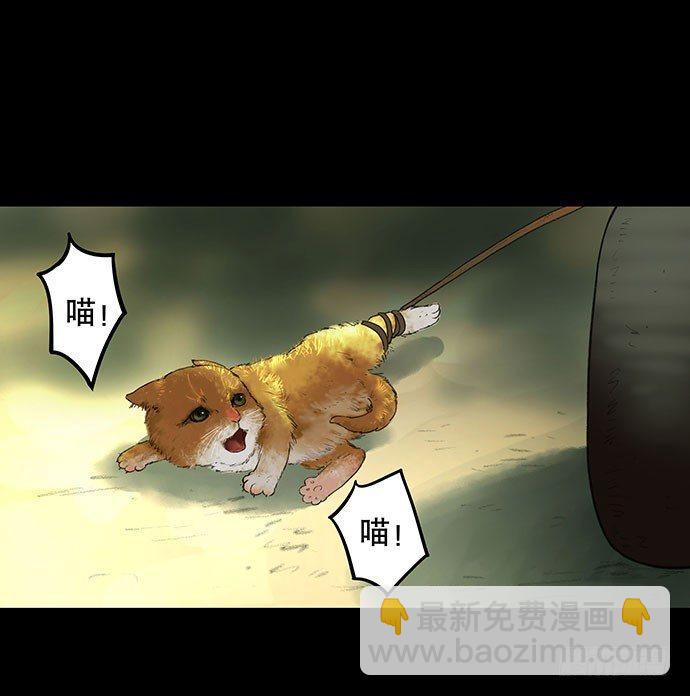 猫-216