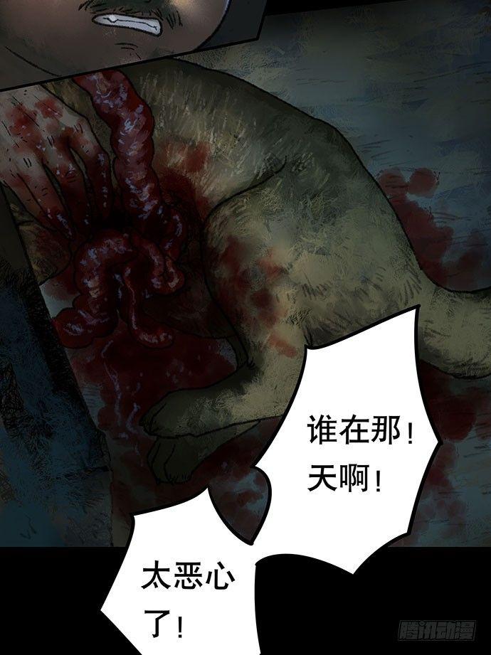 半片猪-下26