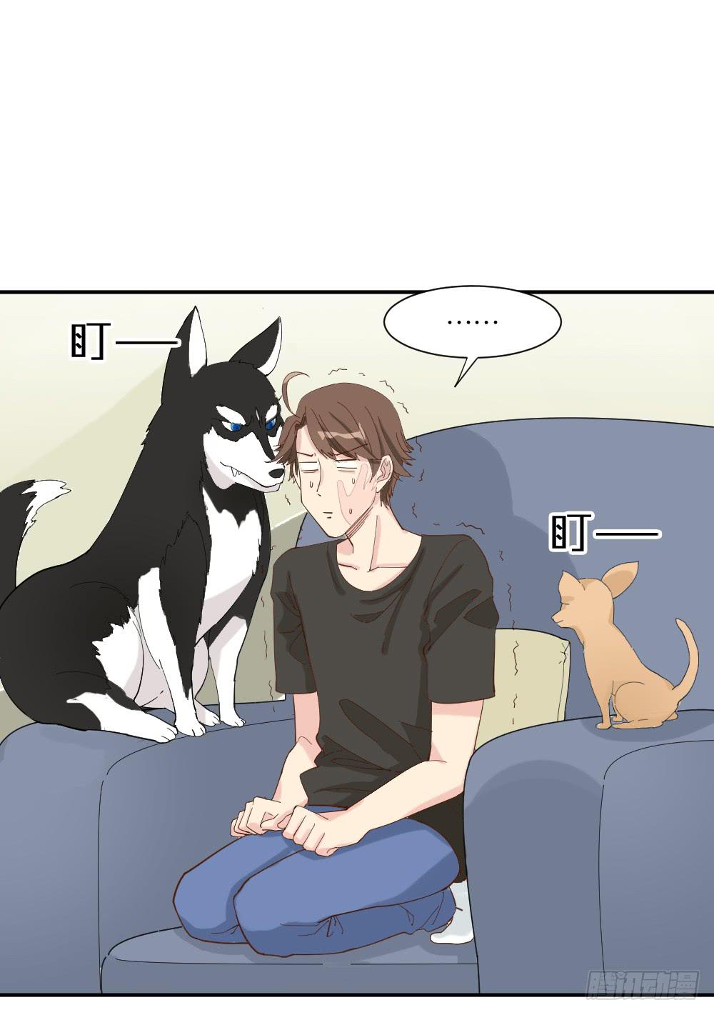 合租规则2