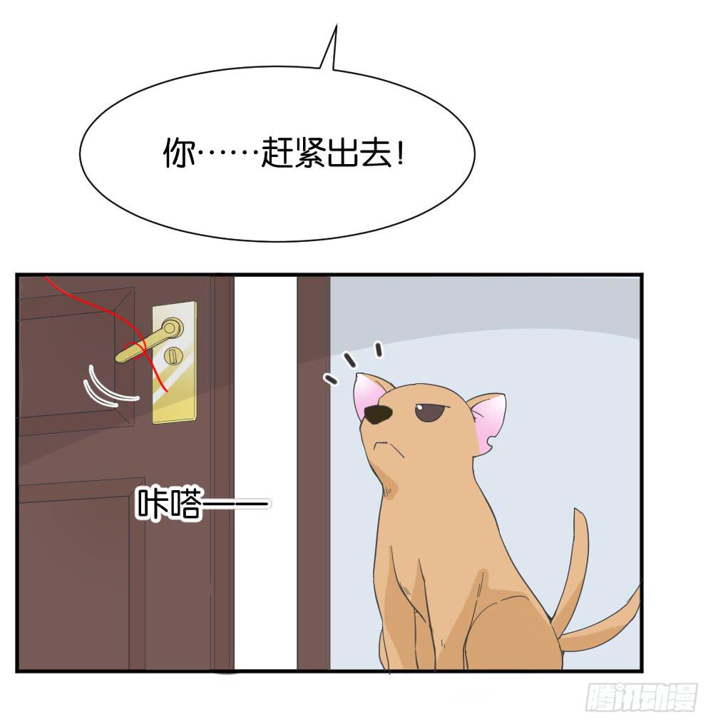 苏白篇324