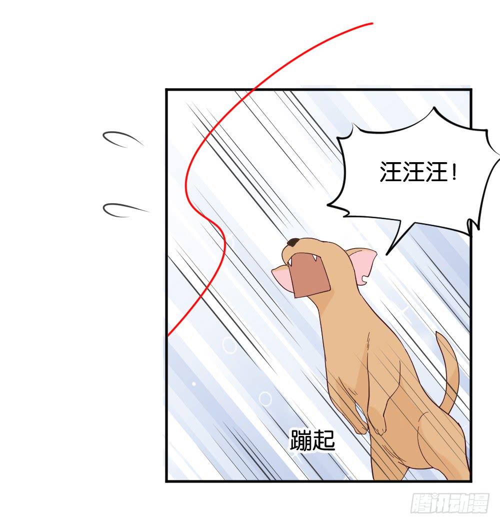 苏白篇328
