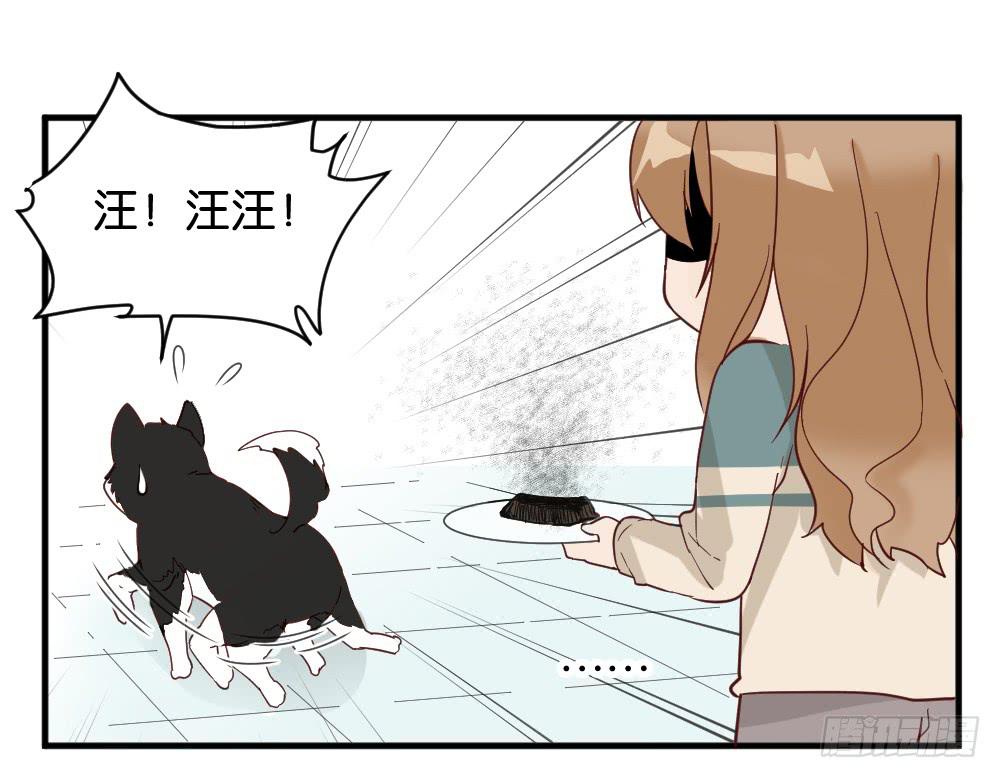 牛排与闹钟20