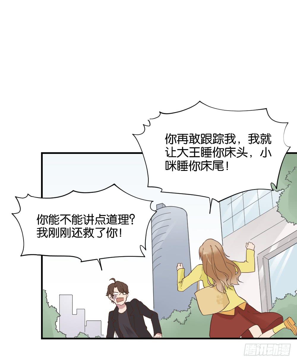 苏白篇537