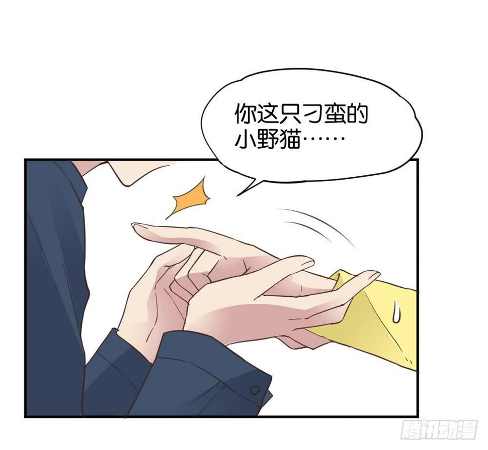 苏白篇434