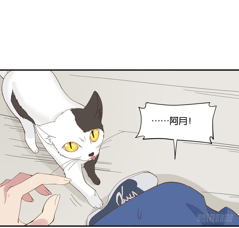 不可以和别人谈恋爱72