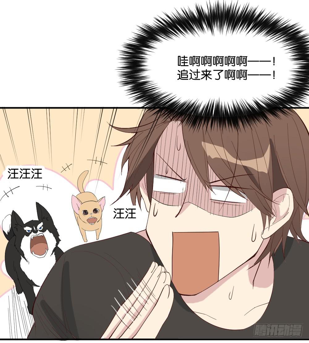 识破44