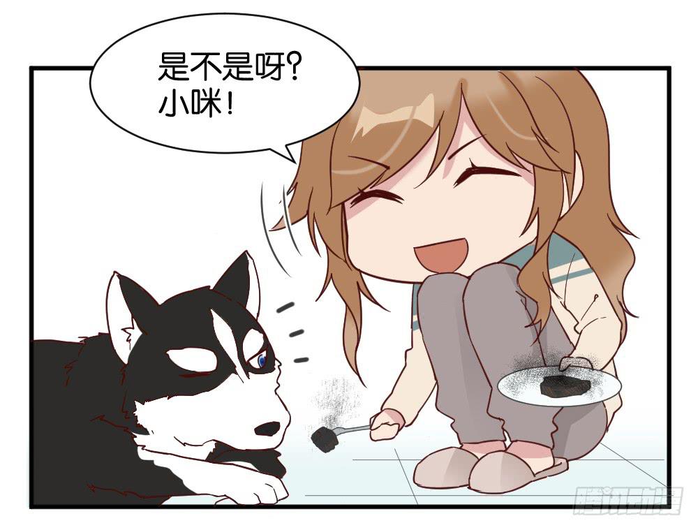 牛排与闹钟16