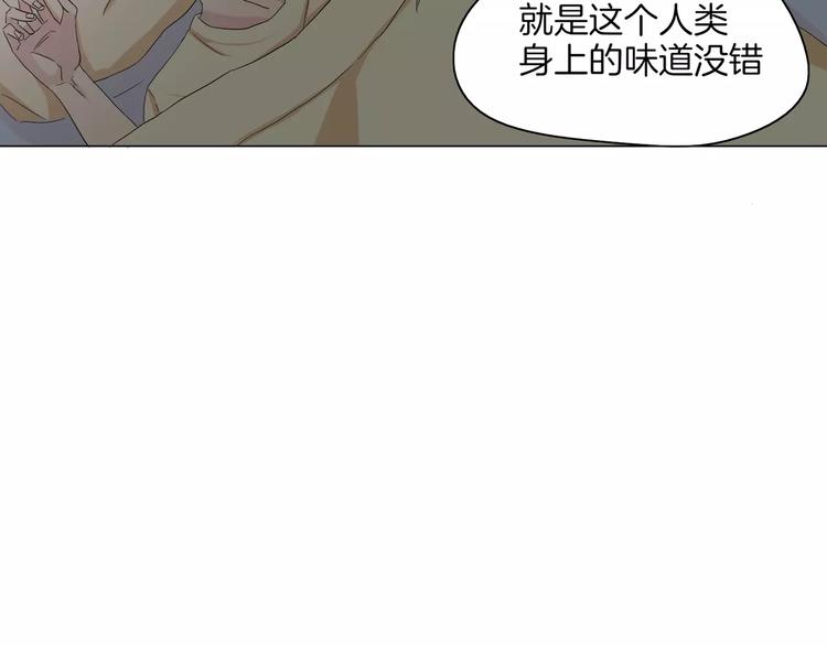 第2话 网络小说家59