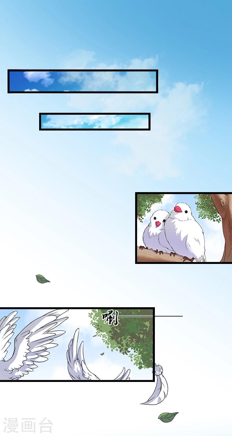 第2话 无望的婚姻1