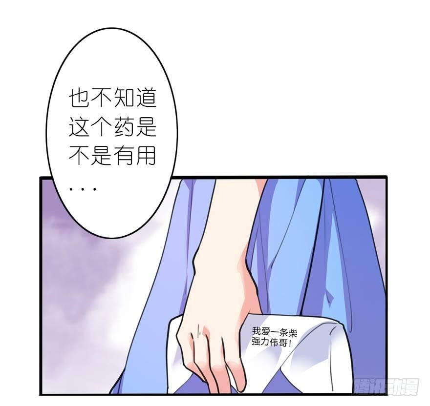 序章：我爱一条柴1