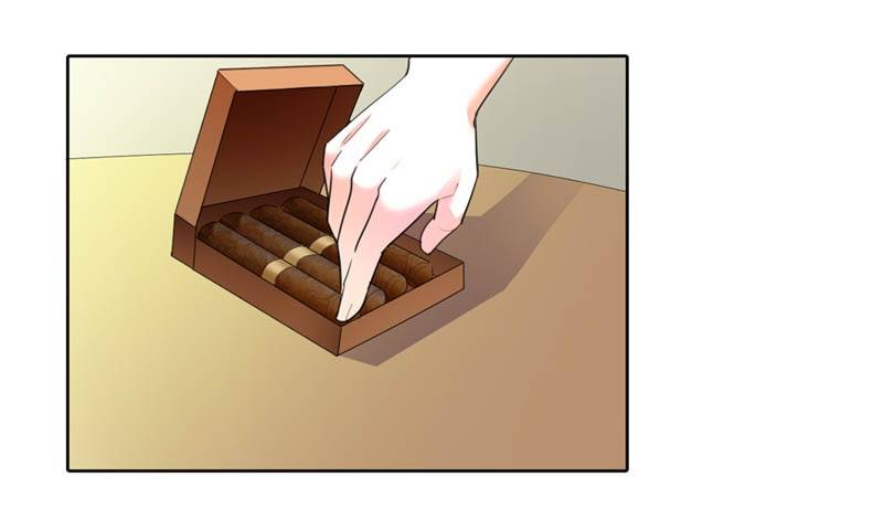 疯狂的雄狮20